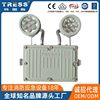 large Market Corridor Double head Rechargeable Lighting explosion-proof Double head emergency lamp Tunnel security Exit Evacuation lights