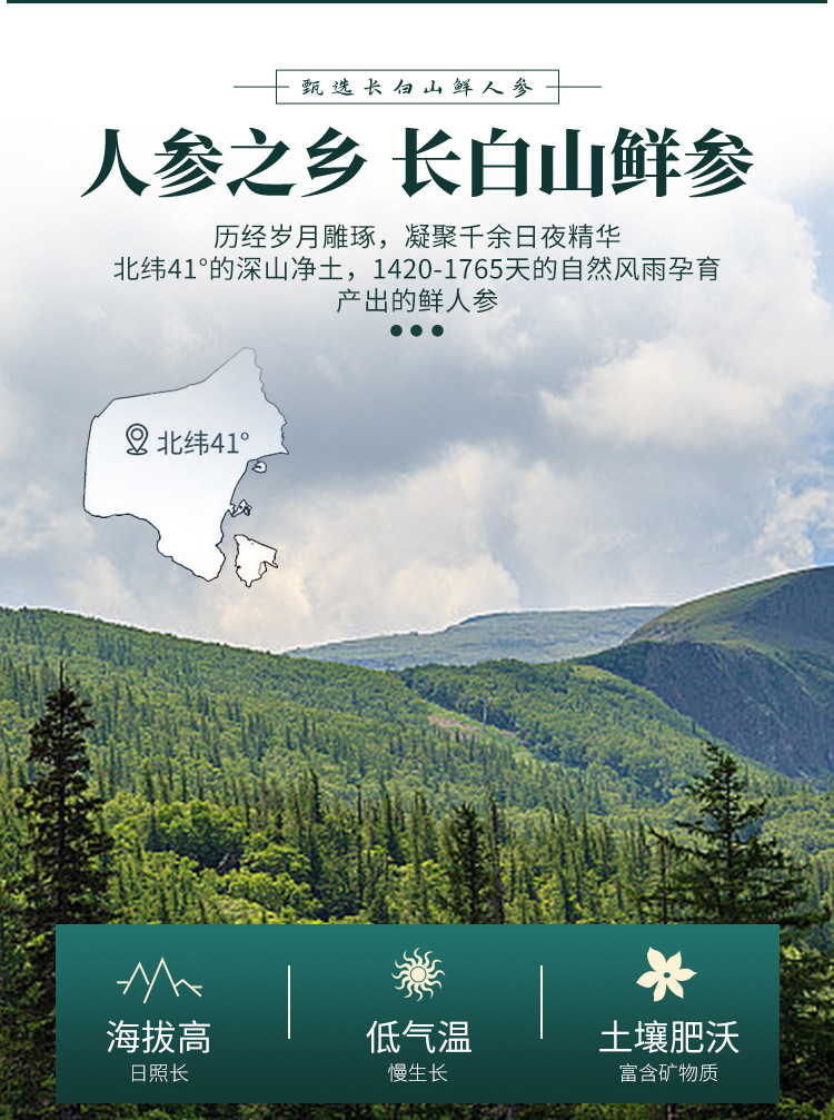 Changbai Mountain Ginseng Honey Slices 50g Ready to Eat Gift Box Northeast Specialty quality and texture