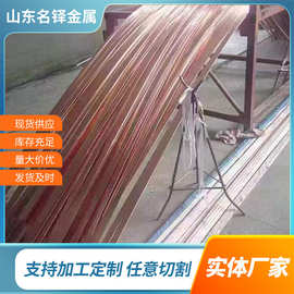 山东厂家批发 铜包钢扁线 覆铜扁钢 铜覆钢扁铁 水平接地干线