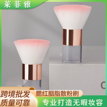 �羳��֧͸������ëɢ��ˢ��֬ɢ��ˢ�๦�ܻ��yˢĢ��ˢ���y����