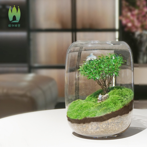 Creative desktop micro landscape vase DIY green plant ecological bottle moss lazy artificial landscape vase modern simple vase