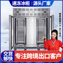 饺子冷冻柜 海参速冻柜 包子急冻柜 鲜牛肉鲜虾速冻机 液氮速冻柜