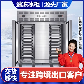 保鲜冷藏设备;冷冻食品加工;冷库/速冻柜