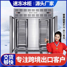 德菱仕商用速冻机低温急速冷柜海参饺子急冻柜包子零下45度速冻柜