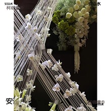 �ʺ羀�b�û�c���⹝���b��̈���ͥ�Շ�����ˇ�g�^�b���b��̫��