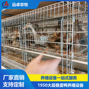 ȫ�Ԅӿ��5��8�ӯB���wʽ���u���������Bֳ������� H�͵����Bֳ