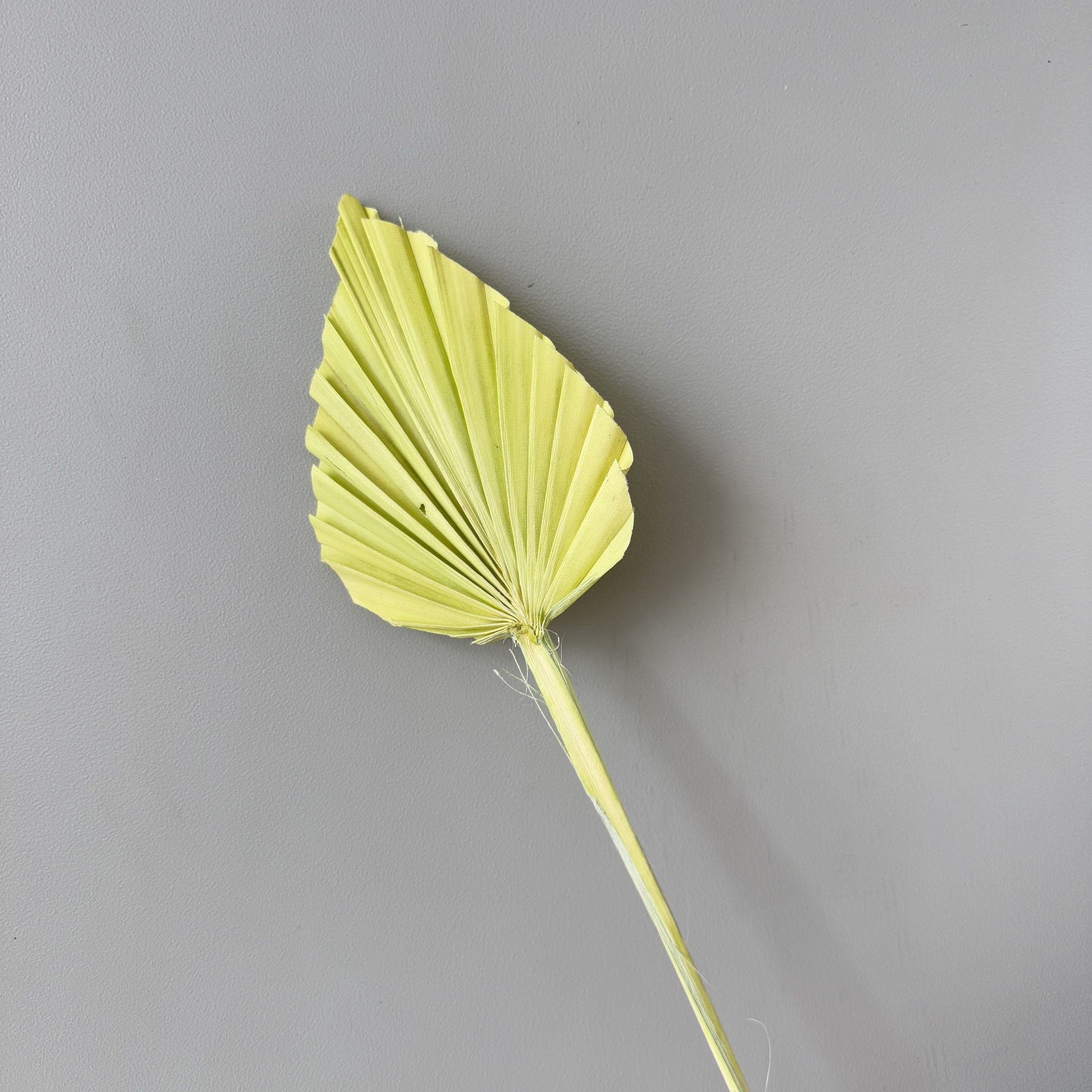 미니 옐로우 그린