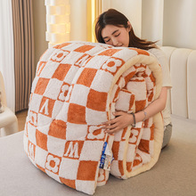 羊羔绒被子冬被冬天加厚保暖羽丝绒被芯宿舍单人秋冬季太空被棉被