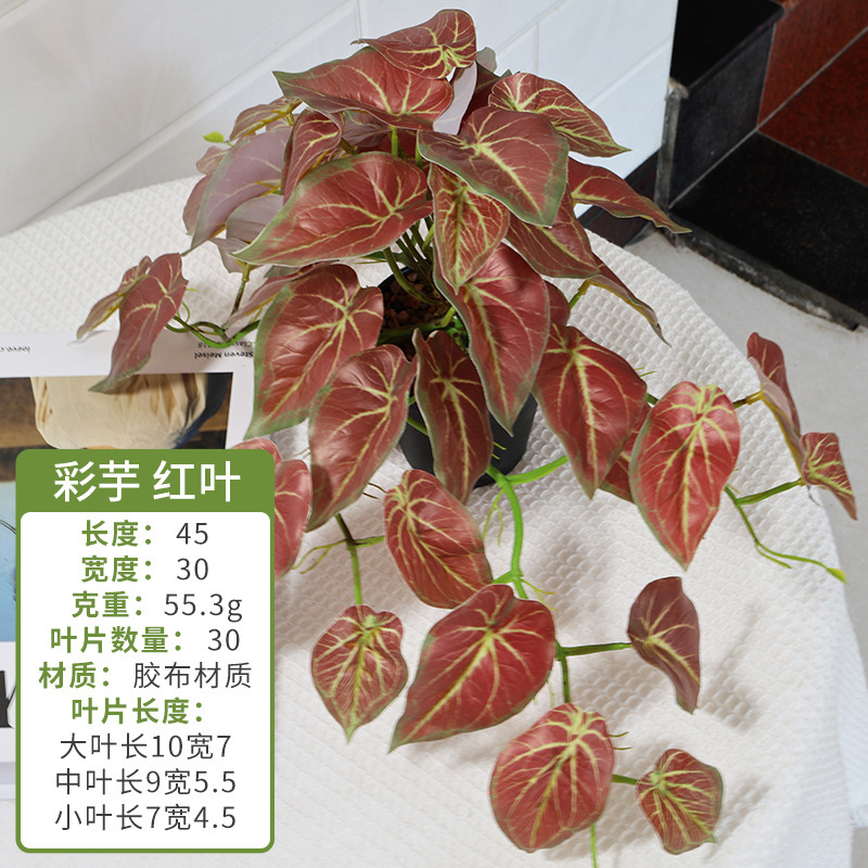レンズリーフ、丸貝葉、ベゴニア、壁掛け模擬緑植物、結婚式の造園、装飾木、カラータロイモの葉|undefined