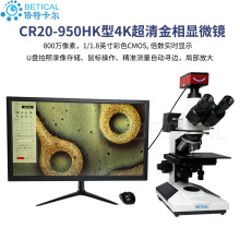 4K@΢RCR20-950HKĿùWzyxٷĩwY