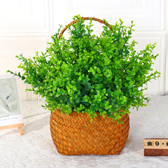 尤加利仿真植物金錢葉塑料小草植物牆7叉35頭花束綠植人造花批發