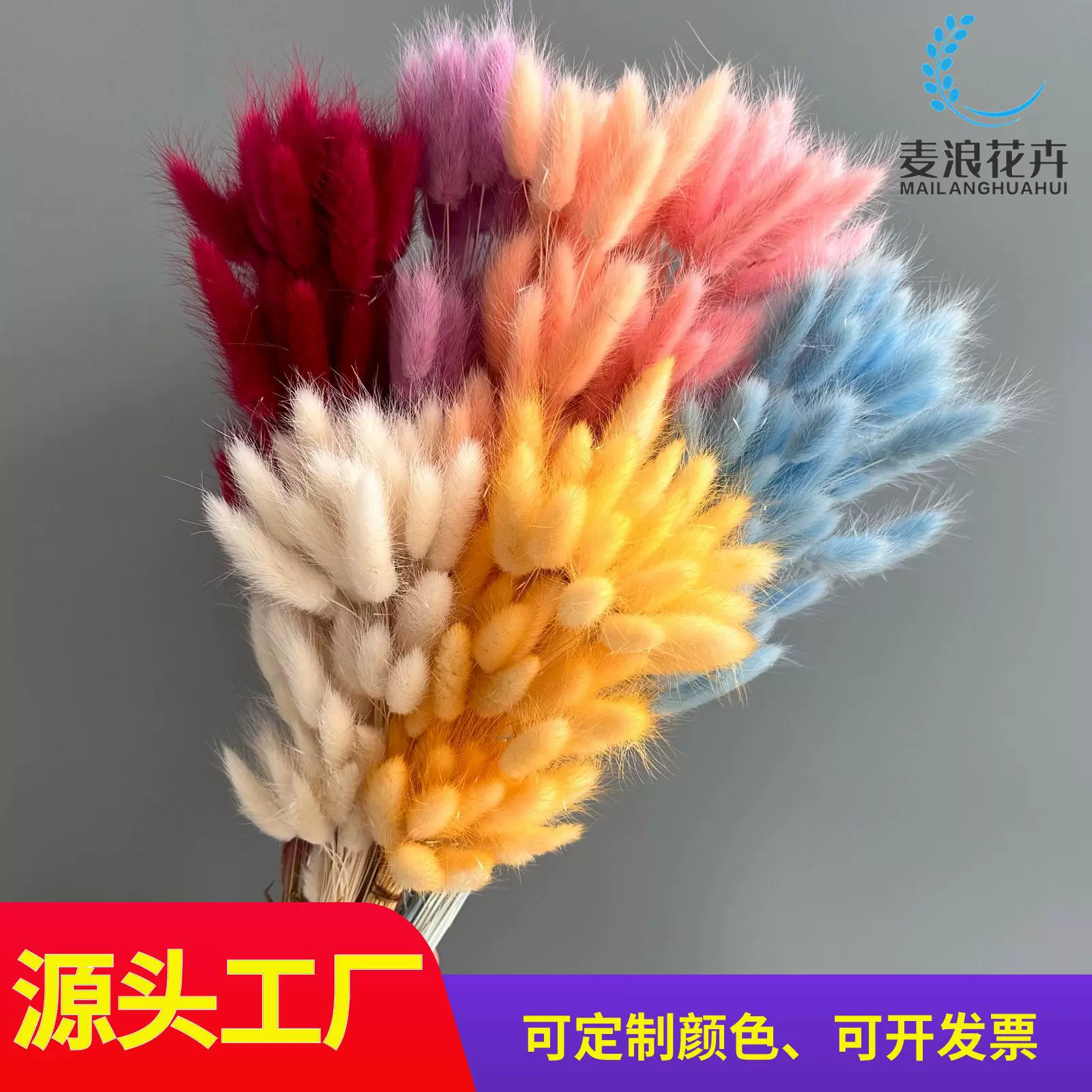 跨境干花花束兔尾草狗尾巴草小短草加工定制ins风家居装饰