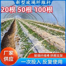 �����w�S����֧�܌���֧�Ηl�ˈ@���ϰ�����N�ˏ����ܗU������