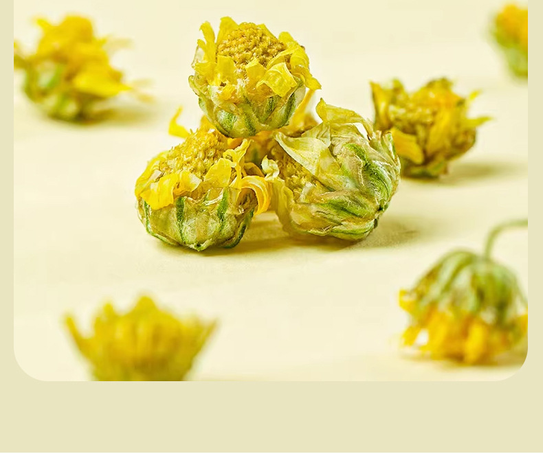 Dried Chamomile Flowers 500g Bulk Loose Herbal Tea Chamomilla Recutita in use