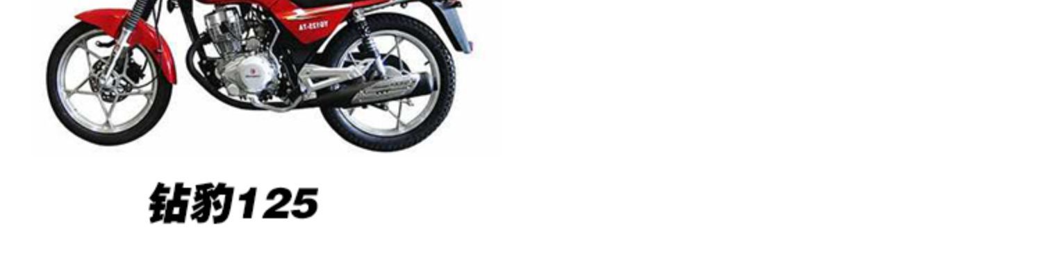 Motorcycle WYJH70DY100 Diamond leopard rearview mirror Saichi QS110GSGT125 reflector rearview mirror accessories