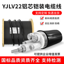 眾一YJLV22鎧裝1/2/3/4/5/3+1/3+2/4+1芯150/300平方鋁芯電線電纜