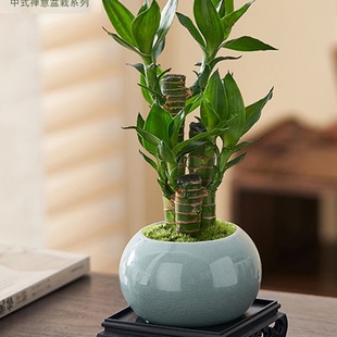 ���F���҃�ֲ�﹝��������Gֲ���B�����߻����Ĳ���͏d����