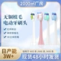 飞利浦通用款定制电动牙刷头