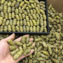 云南石斛紫皮石斛多种规格散装现货批发石斛粉可煲汤磨粉泡茶