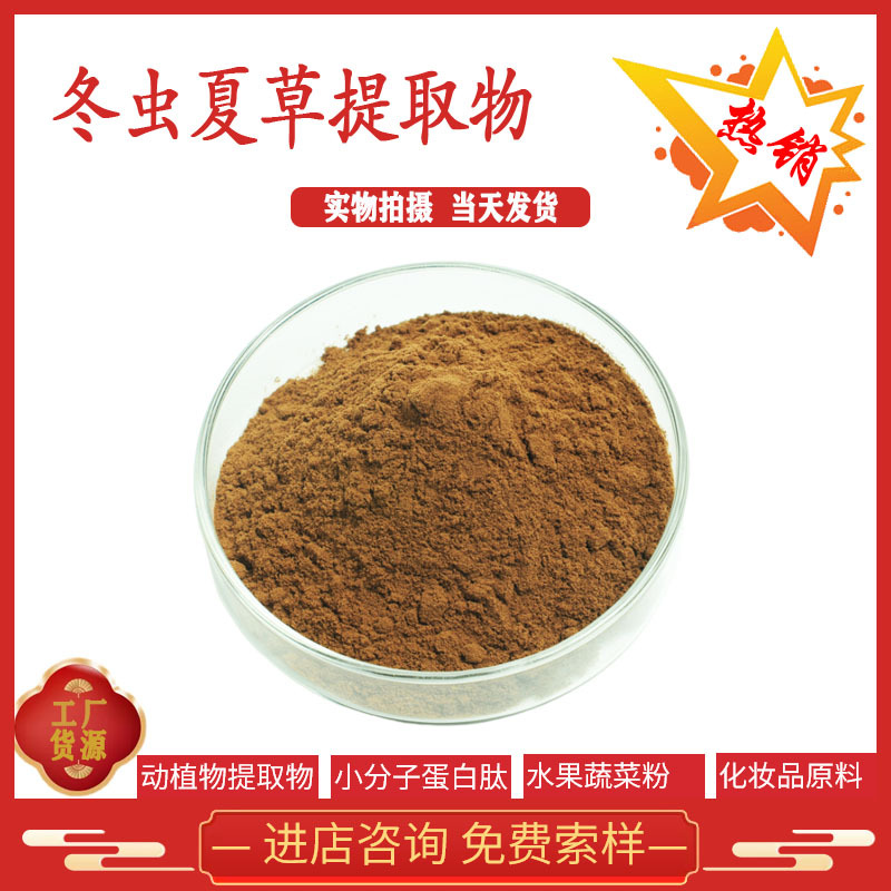 冬虫夏草提取物10:1 虫草多糖 量大价优 现货供应 全国包邮