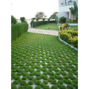 ͣ܇������ ���_�����òݲ�ƺ�N�����޼� �Ͱ���̤�ݷN �ļ�����