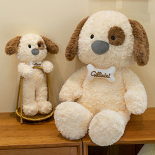 �������˹��ɐ۹��м�������ؐ��ë�q��߃�ͯ���ṫ����ż����