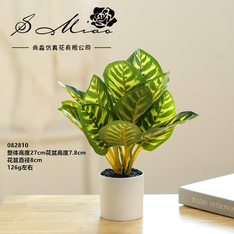 082810 Planta verde en maceta ☆