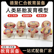 �����̥�l��ģ����̥Ӌ������̥���l���^������̌W���ʽ̾�