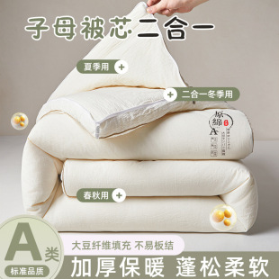 ������2025�¿�ԭ����ĸ���p̥�����ﱻ�������ӱ�о�󶹱�����һ