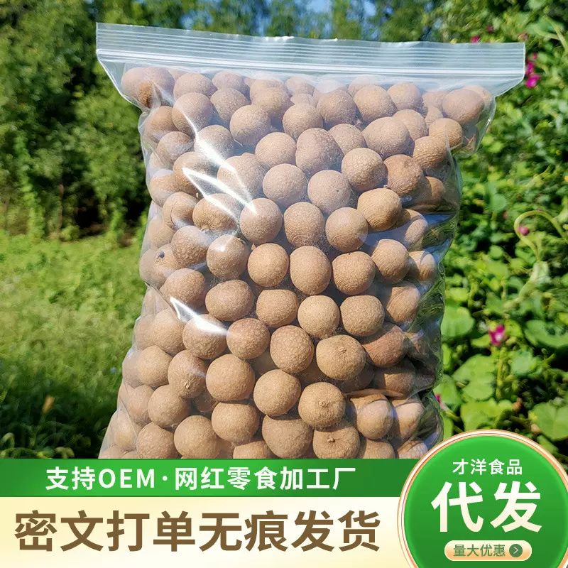 代发莆田桂圆干新货批发 小核厚肉泡水煲汤果干零食龙眼桂圆