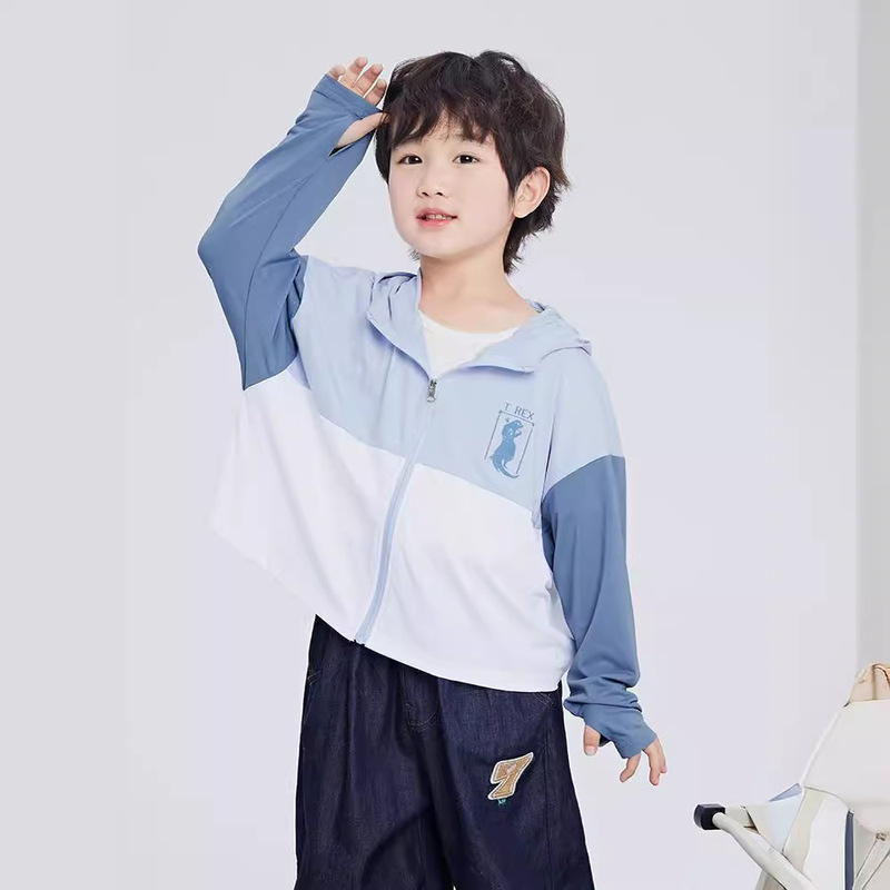 Reprehenderit qui in ea