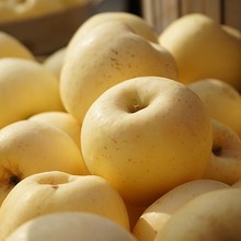 �a�جF؛���l���l��̨�O���S�����͸�ʿ����Y���b���rˮ���O��