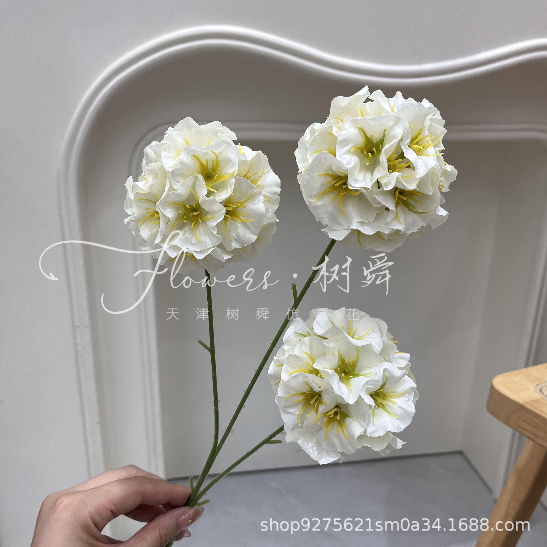 Fruta de molino de viento blanca