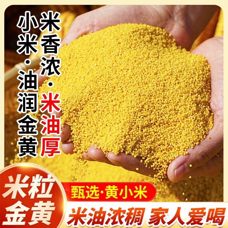 Northeast Xiaomi 2.5kg Wholesale New Xiaomi Farmhouse Golden Xiaomi Porridge Xiaomi Porridge Whole Grains Can Be Delivered