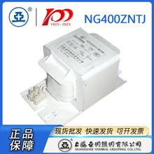 上海亚明钠灯镇流器NG250ZNTJ/NG400ZNTJ亚明镇流器