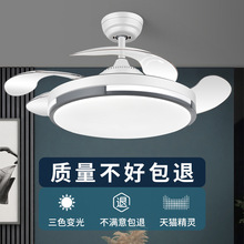 �[�ε��ȟ�2025���¿���ȟ�����һ�w�����͏dd���ұ��W���ȟ�