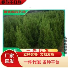 һlɶؘȰؘؘKɘɘuĹ