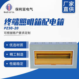 明装回路箱PZ30-20# 终端照明箱配电箱带透明盖