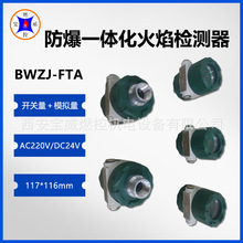 宝威燃控石油化工行业一体化紫外线火焰检测器 BWZJ-FTA DC24V