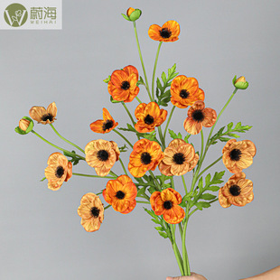 ֱ�NPU��֦5�^С���ڻ��ٻ����滨�����˼Ҿ��b��S ��c�b�