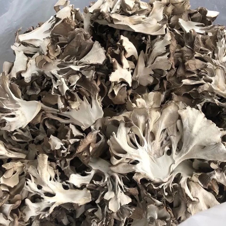 Maitake dried mushroom edible fungus pollution-free green舞茸 tea farmer栗蘑 thousand Buddha mushroom sliced 100g