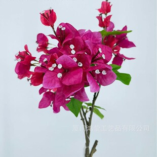 ��������÷�Ҿӻ�c�͏d�b�ˇ�[���ٻ����⹤���쾰�b��滨