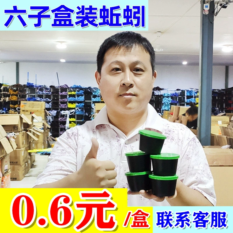 Живые дождевые черви в штучной упаковке Живые черви красные личинки Живые черви Оптовая Рыболовная приманка