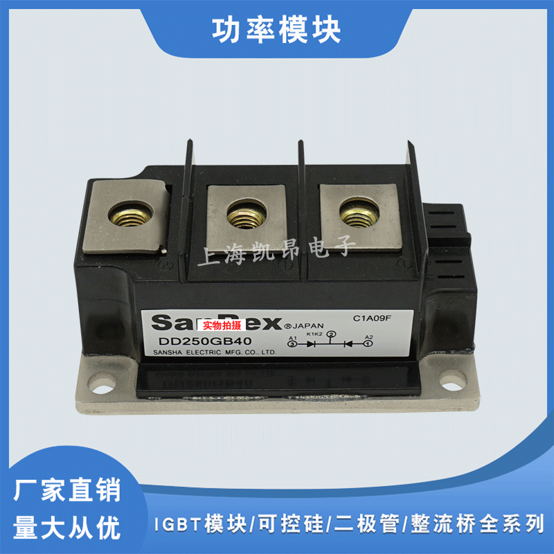 全新原装DD200GB40 DD200GB80 DD250GB40 DD250GB80可控硅模块