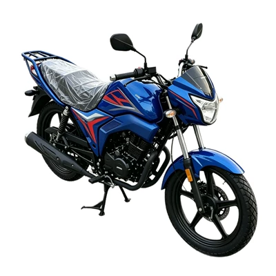 Fuel-Powered, and Can Carry People, Motosikletlər