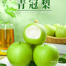 梨子青梨砀山青冠梨9斤翠冠梨当季新鲜水果雪梨青皮梨整箱皇冠梨