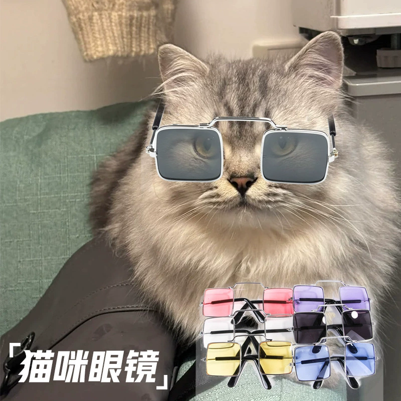 Креативные новые аксессуары для домашних животных новые кошки фото смешные реквизиты персонализированные очки щенок украшения оптом