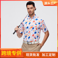 ��ʿpolo�����߼��и߶��������и߶����˶�����������ѷ�羳�ֻ�