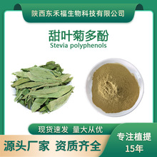 甜叶菊多酚40%甜叶菊提取物Steviapolyphenols甜叶菊粉新食品原料