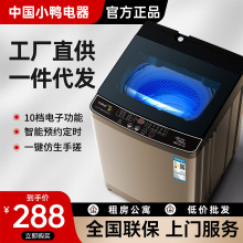 小鸭全自动10KG洗衣机家用租房一人小型内衣波轮甩干机洗烘